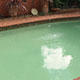Regency White Swimming Pool Paint